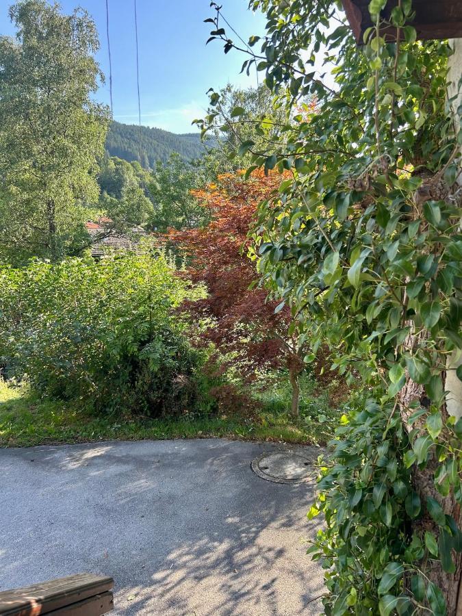 Apartment Huberspitz - Ruhe, Berge & Natur Hausham Extérieur photo